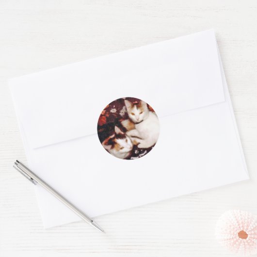 Katten Sticker (Envelop)