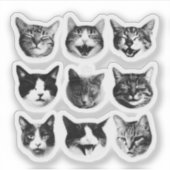 Katten Sticker (Voorkant)