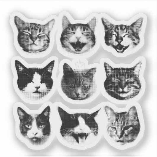 Katten Sticker (Voorkant)