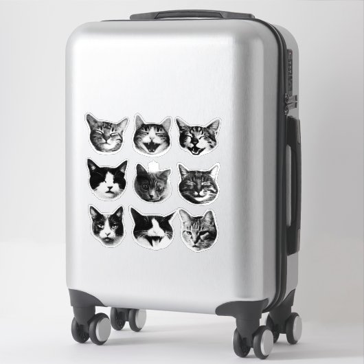 Katten Sticker (Koffer)