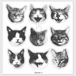Katten Sticker