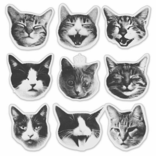 Katten Sticker (Voorkant)