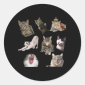 Katten Stickers (Voorkant)
