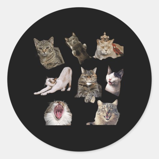 Katten Stickers (Voorkant)