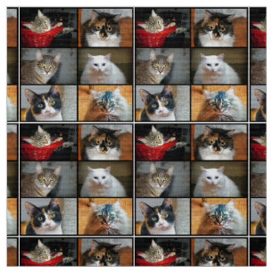 Katten Stof