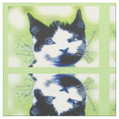 Katten Stof (Close Up)