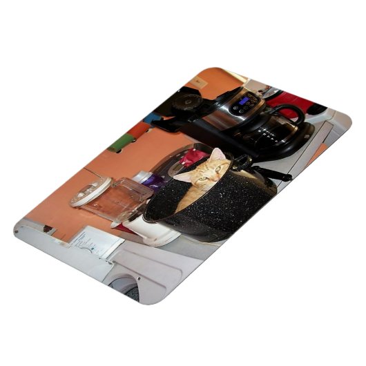 Katten stoofpot magneet (Linkerzijde)