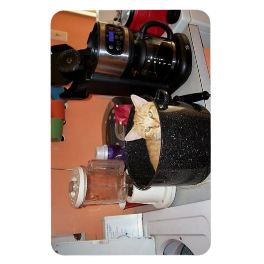 Katten stoofpot magneet (Verticaal)