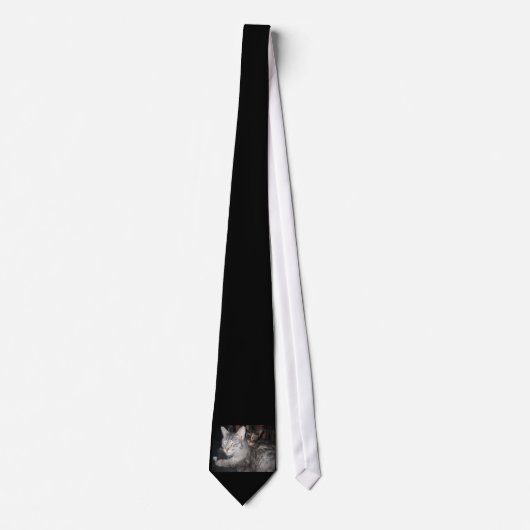 katten stropdas (Voorkant)