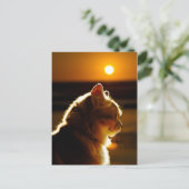 Katten Sunset Briefkaart (Staand voorkant)