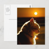 Katten Sunset Briefkaart (Voorkant / Achterkant)