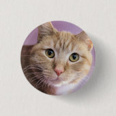Katten T-shirt Ronde Button 3,2 Cm (Voorkant)