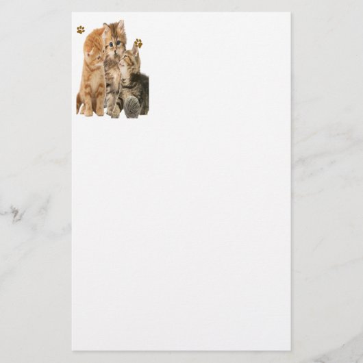Katten t-shirts briefpapier (Voorkant)