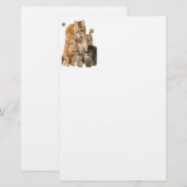 Katten t-shirts briefpapier (Voorkant / Achterkant)