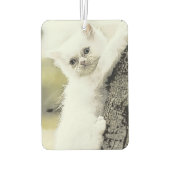 Katten, teder, kleine kat luchtverfrisser (Achterkant)