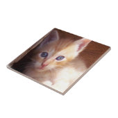 Katten Tegeltje (Zijkant)