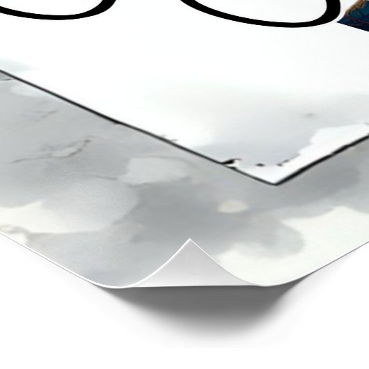 Katten tegen corruptie perfect poster (Hoek)