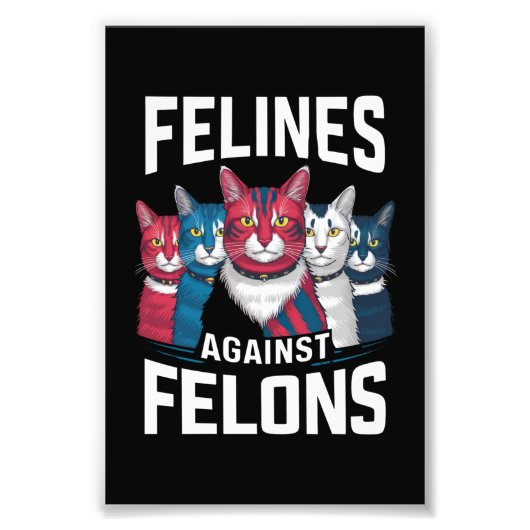 Katten tegen Misdadigers Foto Afdruk (Voorkant)