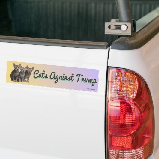 Katten tegen Trump Bumpersticker (Op Truck)