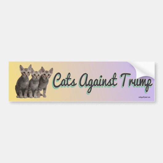 Katten tegen Trump Bumpersticker (Voorkant)