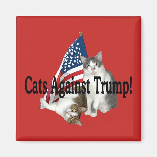 "Katten tegen Trump" magneet (Voorkant)