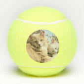 Katten Tennisballen (Achterkant)