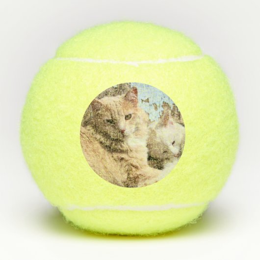 Katten Tennisballen (Voorkant)