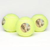 Katten Tennisballen (Multi)