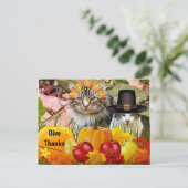Katten Thanksgiving Pompoenen / Van Kattencollage Briefkaart (Staand voorkant)