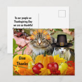 Katten Thanksgiving Pompoenen / Van Kattencollage Briefkaart (Voorkant / Achterkant)
