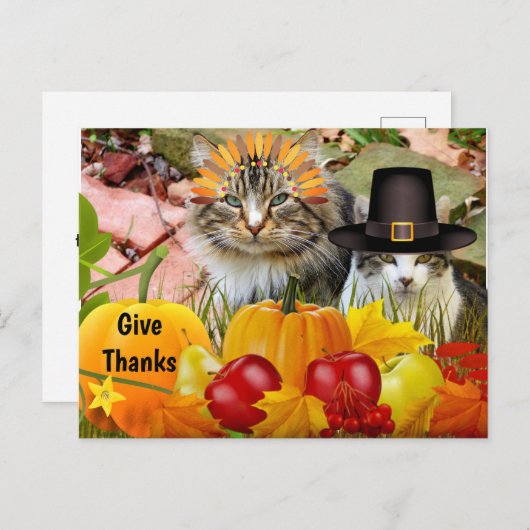 Katten Thanksgiving Pompoenen / Van Kattencollage Briefkaart (Voorkant / Achterkant)