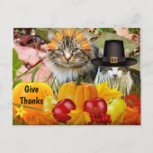 Katten Thanksgiving Pompoenen / Van Kattencollage Briefkaart (Voorkant)