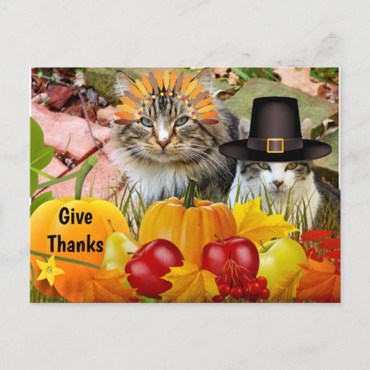 Katten Thanksgiving Pompoenen / Van Kattencollage Briefkaart (Voorkant)