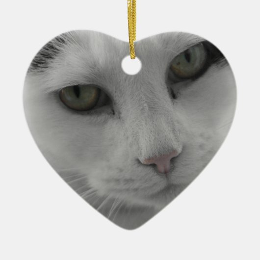 Katten Thoughts Keramisch Ornament (Voorkant)