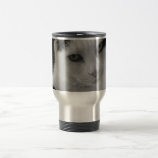 Katten Thoughts Reisbeker
