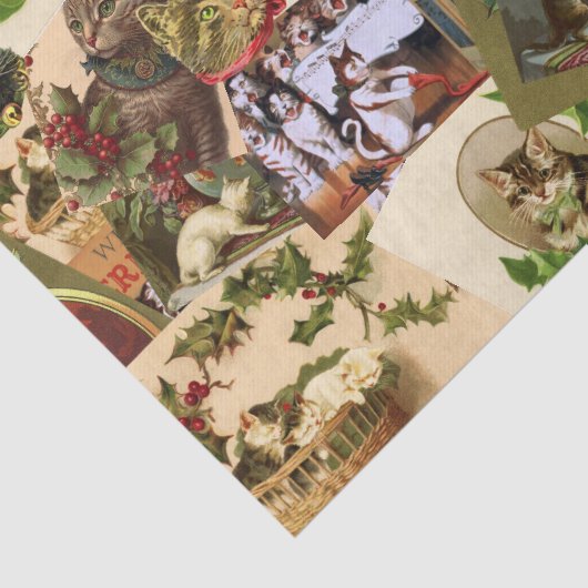  katten tissuepapier (Detail)