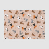 Katten Tissuepapier (Voorkant)