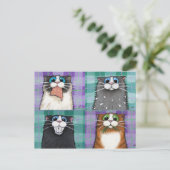 Katten tot geen goed Briefkaart (Staand voorkant)