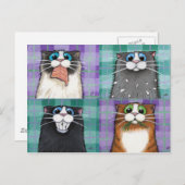 Katten tot geen goed Briefkaart (Voorkant / Achterkant)