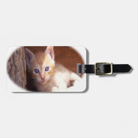 Katten truitjes en super mix bagagelabel (Voorkant horizontaal)
