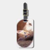 Katten truitjes en super mix bagagelabel (Voorkant verticaal)