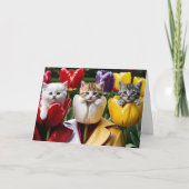 Katten tulpen kaart (Voorkant)