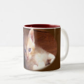 Katten Tweekleurige Koffiemok (Voorkant rechts)