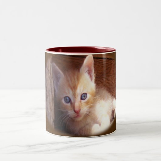 Katten Tweekleurige Koffiemok (Center)