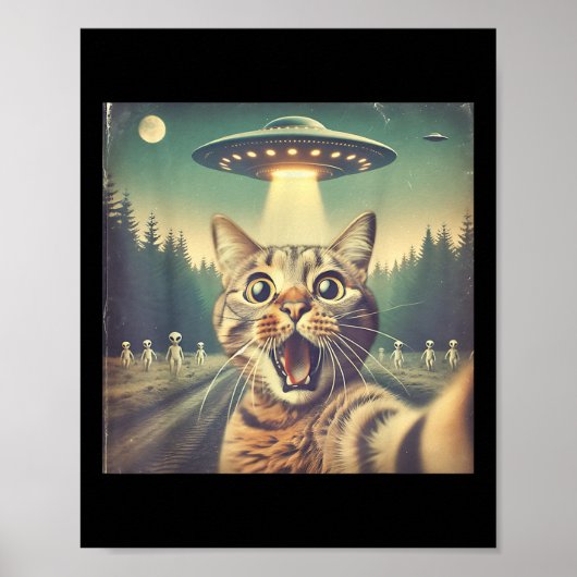 Katten Ufo Selfie Kunst Grappige Katten Buitenaard Poster (Voorkant)