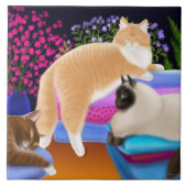 Katten uitlekken op de schone wasberg tegeltje (Voorkant)