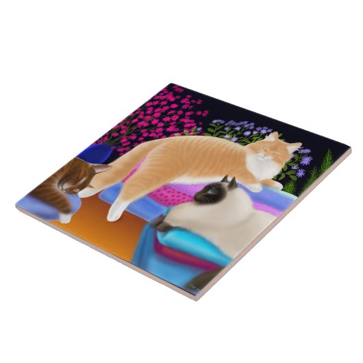 Katten uitlekken op de schone wasberg tegeltje (Zijkant)