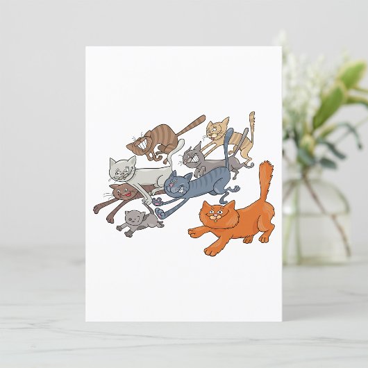 Katten uitvoeren kaart