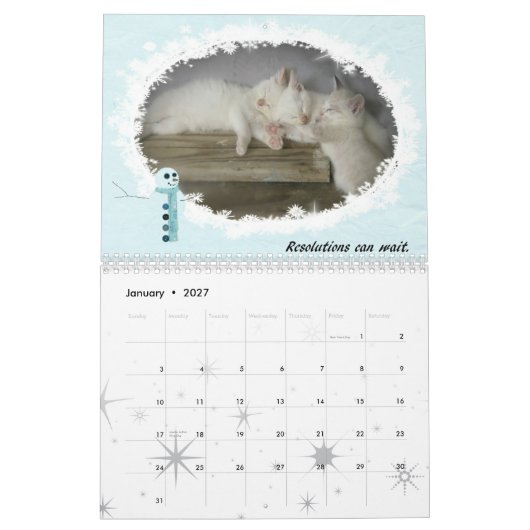 Katten van 2010 kalender (Jan 2027)