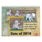 Katten van 2010 kalender (Hoes)